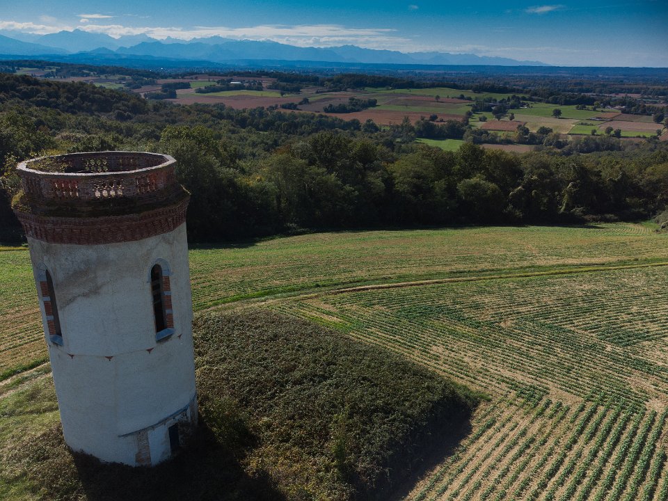 DJI 0247