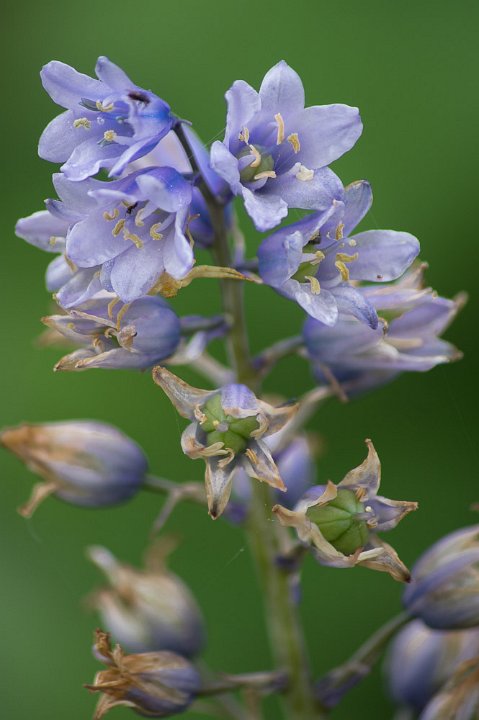 20200418-IMGP8114